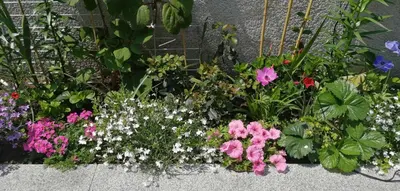 Ein Garten an der Unterkunft Vacational apartment