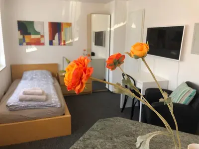 TV/Unterhaltungsangebot in der Unterkunft Apartmenthaus Somborn