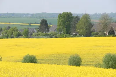 Naturlandschaft in der Nähe der Ferienwohnung