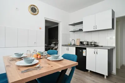 Küche/Küchenzeile in der Unterkunft Ferienwohnung&Aparts By kispet group hotels in Oberhausen