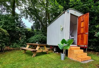 Ein Garten an der Unterkunft Romantischer Bauwagen im Grünen