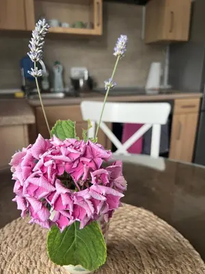 Küche/Küchenzeile in der Unterkunft Auszeit im Pott - Ferienwohnung Lavendel