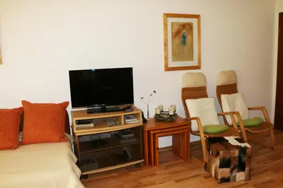 TV/Unterhaltungsangebot in der Unterkunft Essen City quiet flat with terrace and garden