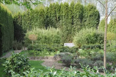 Ein Garten an der Unterkunft Luxuriöse Wohnung in Schwerte