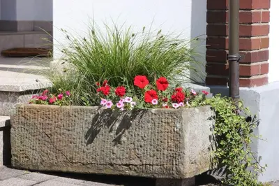 Ein Garten an der Unterkunft exklusive Ferienwohnung