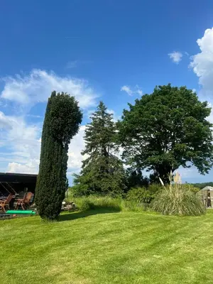 Ein Garten an der Unterkunft 24-7 Living - Modern Apartments in Waltrop with Top Connection