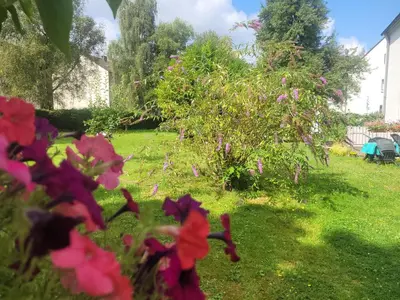 Ein Garten an der Unterkunft Get-your-flat - FeWo 155, 2 Zr Kü & Traum-Retro-Bad, cosy & super sweet, stadtnah & ruhig, Hund nur auf Anfrage,
