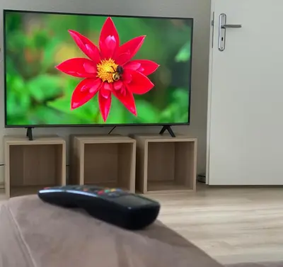 TV/Unterhaltungsangebot in der Unterkunft 4 Rooms, free Parking, 25 min to Düsseldorf, 100 Mbps WLAN