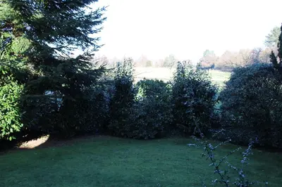 Ein Garten an der Unterkunft Zweites Zuhause