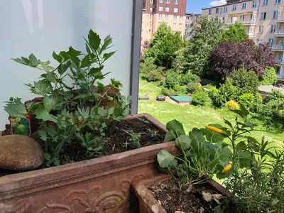 Ein Garten an der Unterkunft Rhein-Flair