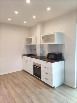 Küche/Küchenzeile in der Unterkunft Luxuriöse, große Wohnung mit Parkblick