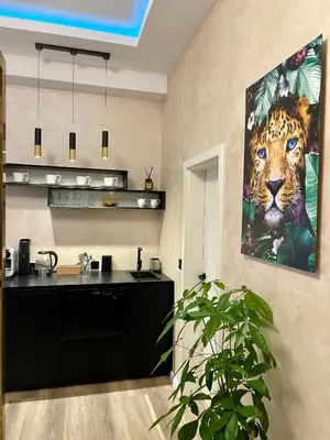 Küche/Küchenzeile in der Unterkunft Aura Apartment und Spa Oberhausen