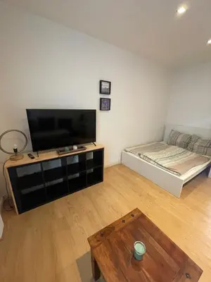 TV/Unterhaltungsangebot in der Unterkunft Apartment, parterre, für 3 Gäste, Zentral gelegen, Mitsubishi Halle