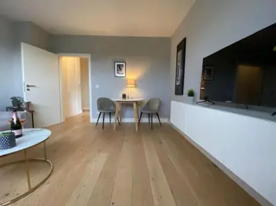 TV/Unterhaltungsangebot in der Unterkunft Airport-Messe Apartment, fußläufig erreichbar 3