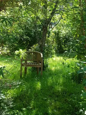 Ein Garten an der Unterkunft Das purpur Haus für Dich alleine!