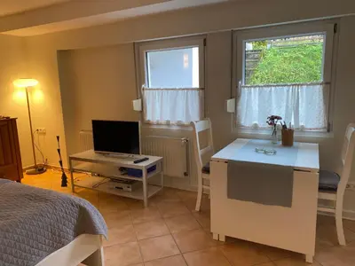 TV/Unterhaltungsangebot in der Unterkunft Einzimmer-Apartment nahe Messe Düsseldorf