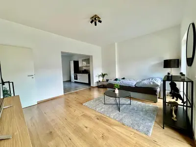 TV/Unterhaltungsangebot in der Unterkunft FeWo Palmtrees - Große und moderne 2 Zimmerwohnung mit Süd-West Balkon in Gladbeck-Mitte nähe Movie Park und Arena AufSchalke