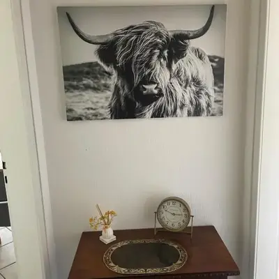 MAD Ferienwohnungen 1