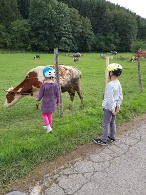 Grundriss der Unterkunft Ferienwohnung Landidyll, Whirlpool, Minipigs, Ponys, Familien