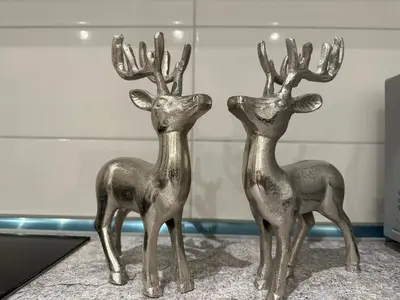 Tiere in der Ferienwohnung oder in der Nähe