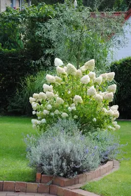 Ein Garten an der Unterkunft Glück im Kohlenpott