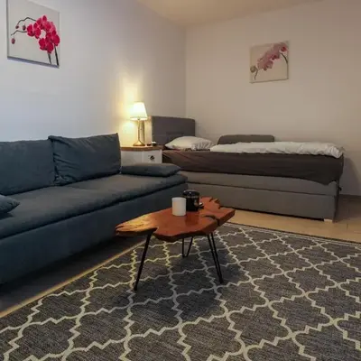 Central Messe Airport DUS Apartment with Terrace