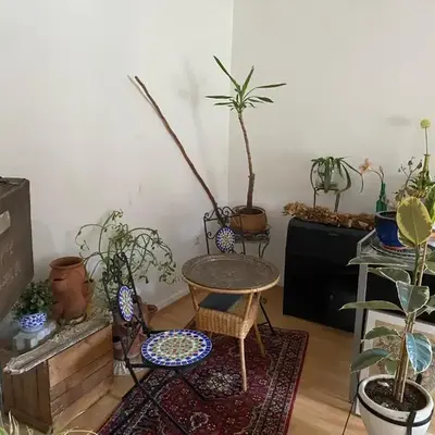Gemütliche und mit Charme eingerichtete Wohnung