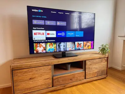 TV/Unterhaltungsangebot in der Unterkunft 3 Zimmer Wohnung mit Garten
