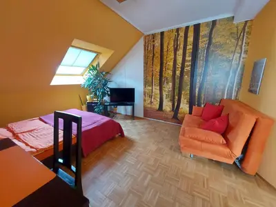 TV/Unterhaltungsangebot in der Unterkunft Sunshine-Flat Düsseldorf-Ratingen