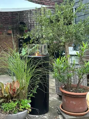 Ein Garten an der Unterkunft Briller Palais