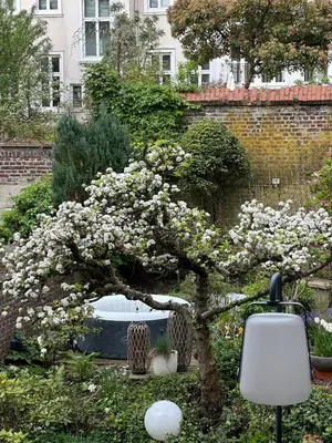 Ein Garten an der Unterkunft Briller Palais