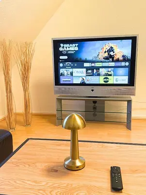TV/Unterhaltungsangebot in der Unterkunft Moderne Wohnung mit Arbeitsplatz, Netflix, Nespresso & privatem Stellplatz