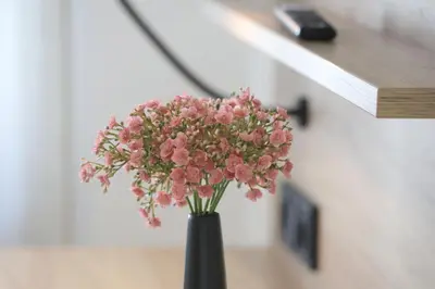 Grundriss der Unterkunft 3-2-1meins Müngstener Brücke
