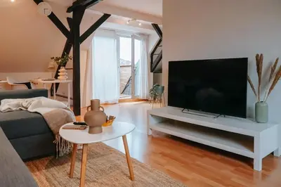 TV/Unterhaltungsangebot in der Unterkunft Rooftop-Apartment zentral gelegen in Düsseldorf