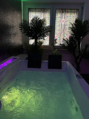 Der Swimmingpool an oder in der Nähe von Historic vintage Suite with Jacuzzi & Sauna