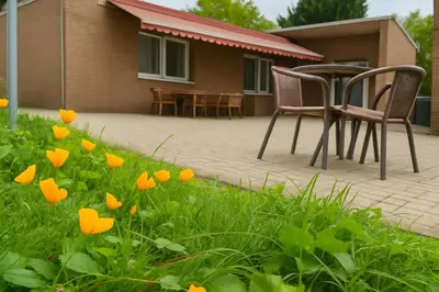 Ein Garten an der Unterkunft Artur Hotel