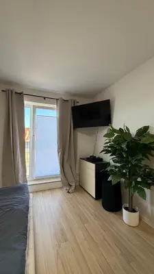 TV/Unterhaltungsangebot in der Unterkunft Modernes City Apartment mit Parkplatz