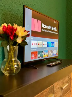 TV/Unterhaltungsangebot in der Unterkunft Emerald Apartment