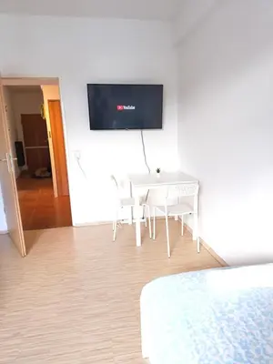 TV/Unterhaltungsangebot in der Unterkunft Working Professionals Flat