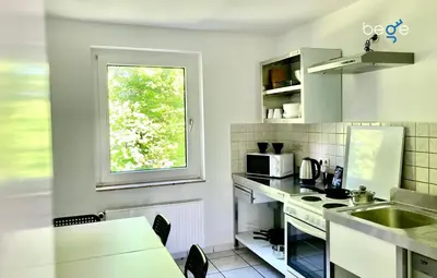 Küche/Küchenzeile in der Unterkunft BEGE APARTMENTS FlexiFlat