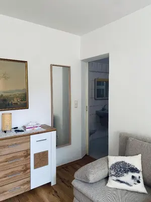 TV/Unterhaltungsangebot in der Unterkunft Helles, gepflegtes Souterrain Apartment in ruhiger Lage