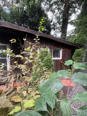 Ein Garten an der Unterkunft STUGA bei GRETA