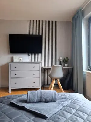 TV/Unterhaltungsangebot in der Unterkunft PK Apartment 2 in Seenähe & mit Garten