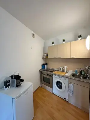 Küche/Küchenzeile in der Unterkunft Sonniges CityNest Apartment mit Balkon und bester Verkehrsanbindung Komplette Unterkunft