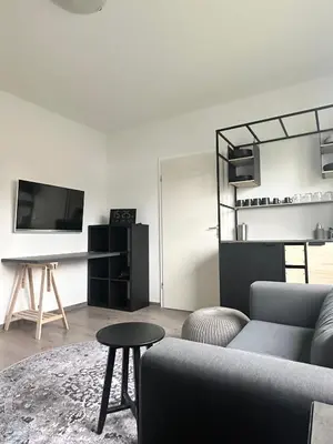 TV/Unterhaltungsangebot in der Unterkunft Messe Apartment - Near Trade Fair Grounds