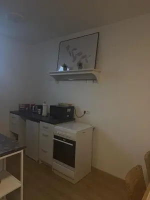 Küche/Küchenzeile in der Unterkunft Wupper Apartments Vogel