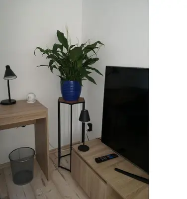 TV/Unterhaltungsangebot in der Unterkunft Charmantes Haus-im-Haus Apartment mit eigenem Hauseingang