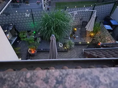Ein Garten an der Unterkunft Schneeglöckchen