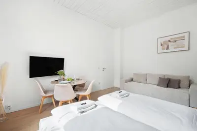 TV/Unterhaltungsangebot in der Unterkunft Modern Apartment by Stadtwald, 10 Min to Messe