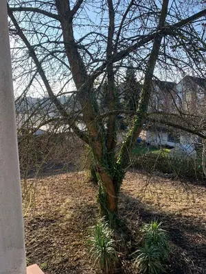 Ein Garten an der Unterkunft Business Apartment Herne-Wanne